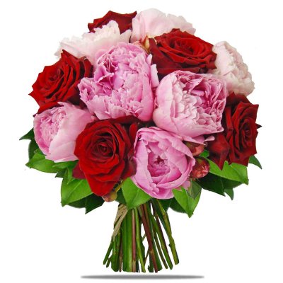 Peonies Simone