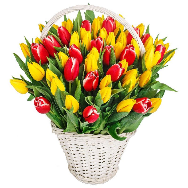 Basket full of Tulips